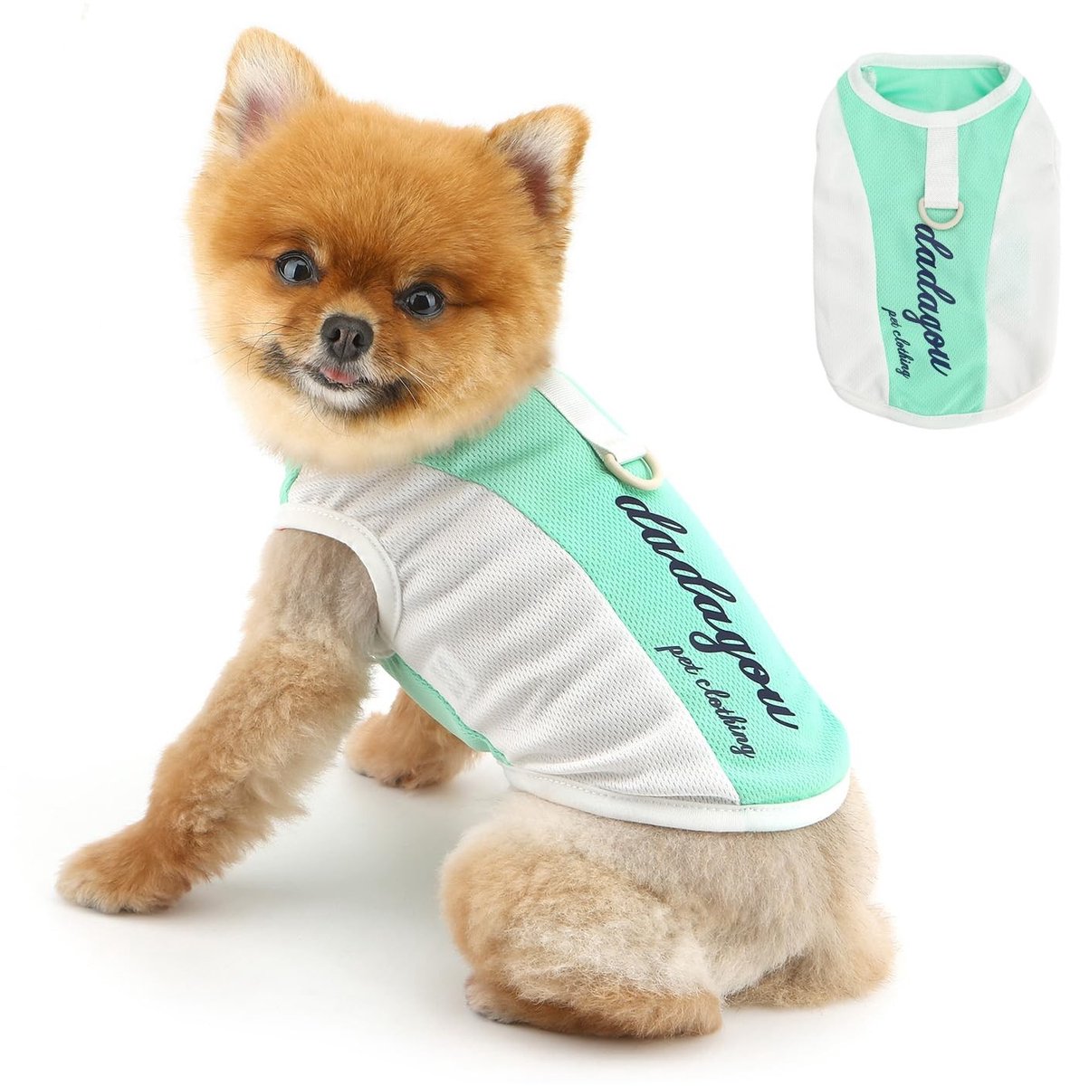Ademend hondenshirt voor kleine honden - Lichtgewicht tanktop - Groen - XXL