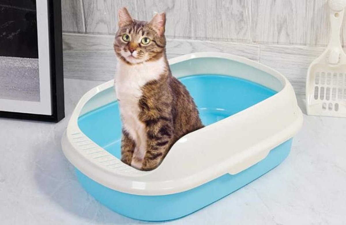 Dieren toilet training - Plastic kattenbak voor binnengebruik