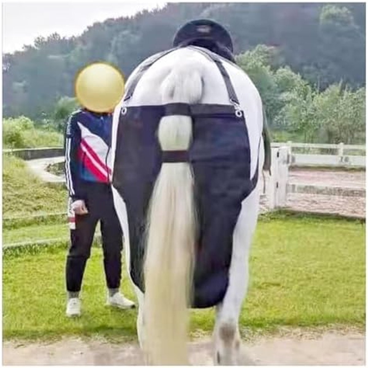 Herbruikbare Mestzak - Afvalzak Paard - Stallen Reinigen - Waterdichte Voering - Medium - Donkergroen