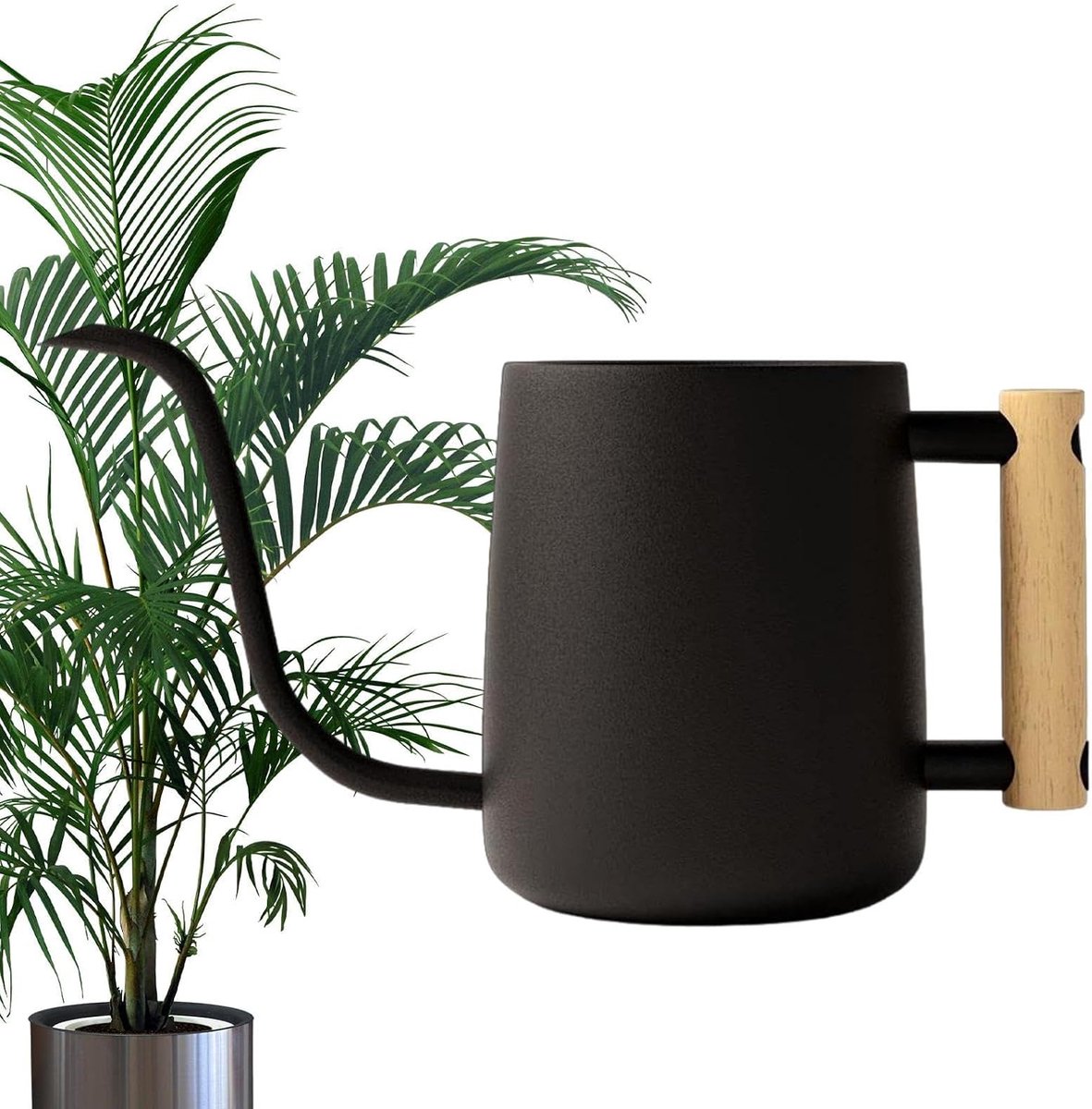 Gieter Kamerplanten - Kleine Waterkan - Planten Verzorgen - Lange Precisie Tuit - 1 Liter Inhoud - Zwart