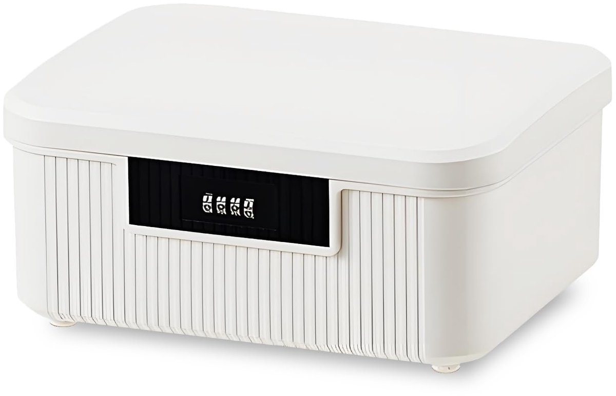 Dailygoods- Afsluitbare Doos - Dubbellaagse Vergrendelingsdoos - Opbergdoos 9L - Privacy Box - Duurzame Constructie - Georganiseerde Opslag