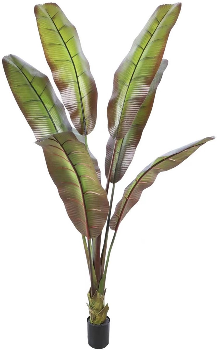 Kunstplant Japanse bananenboom 190cm