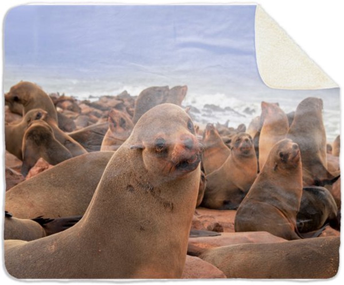 Fleecedeken Zeehonden , 96x146cm, Polyester Sherpa