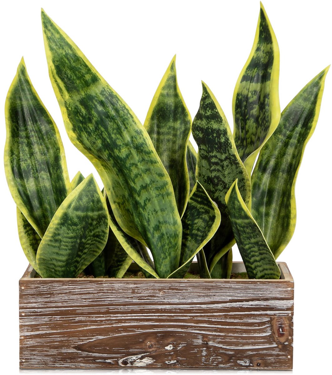 Kunstplant in houten pot, kunstplanten zoals echt, met pot, slangenplant, perfect voor badkamer, slaapkamer, thuis, kantoor, decoratie