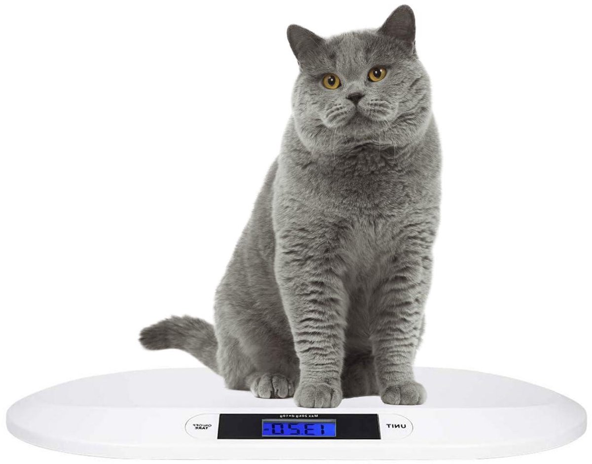 Digitale Baby Weegschaal - Dierenweegschaal Babyweegschaal - Nauwkeurig Wegen - Gevormd Platform - 20 kg / 5.6 g - Wit