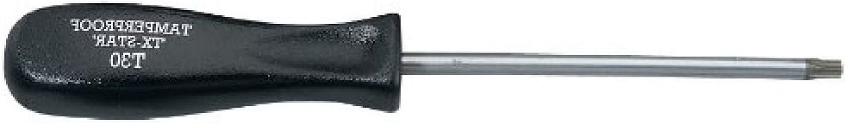 Torx Schroevendraaier - Schroef Tool - Vastschroeven - Sabotagebestendige Beveiliging - T30 x 115 mm - Blauw
