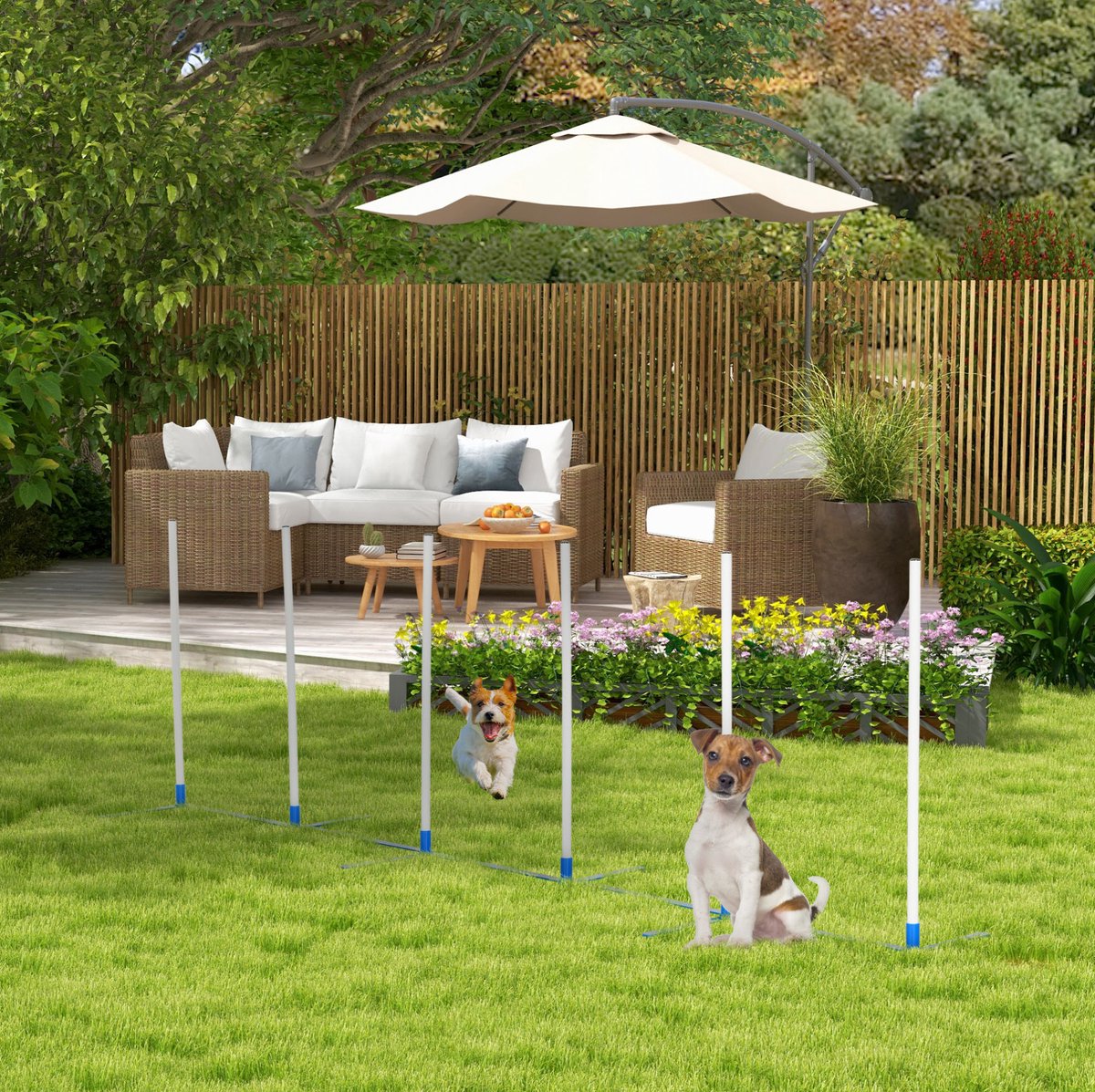 MEUNIQ Honden slalomstangen agility trainingset 305 x 60 x 94 cm met verstelbare opstelling, 600D draagtas, kunststof trainingspalen voor hondensport op gras of vlakke ondergrond