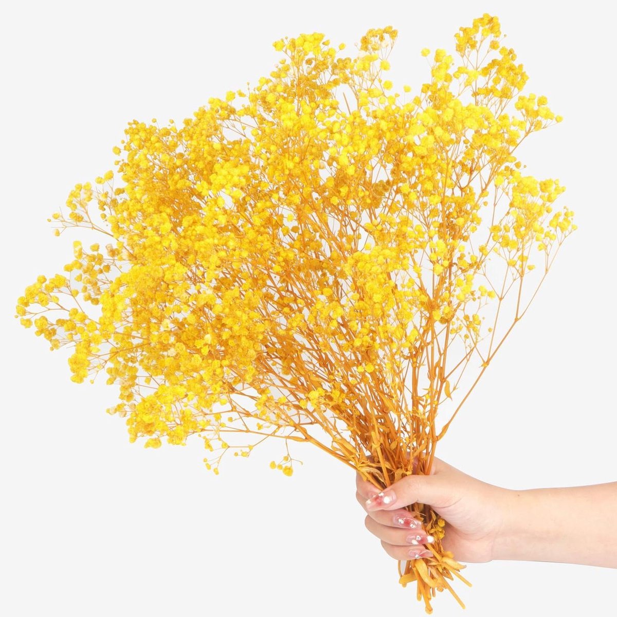 Gedroogde Gypsophila - Droogbloemen Baby's Adem - Decoratie Huis - Natuurlijk Gedroogd - 40 cm - Geel