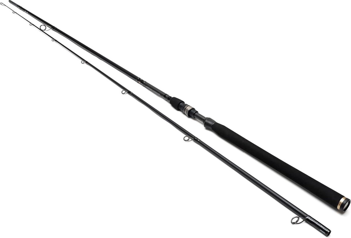 Spinhengel Kunstaas - Roofvishengel Werphengel - Vissen met kunstaas - Snelle blank met veel kracht - 240cm 30-100g - Zwart Zilver