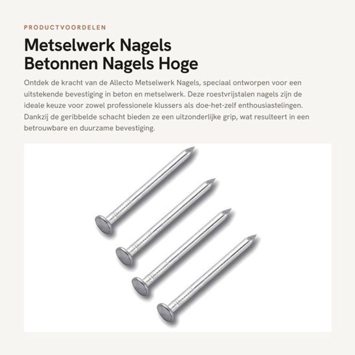 Dailygoods- Muurnagels 304 RVS - Betonnen Nagels - Metselwerk