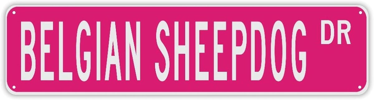 Metalen straatnaambord - Huisnummerbord decoratie - Personaliseren woning - Gepersonaliseerd ontwerp - 24x6 inch - Stijl 2