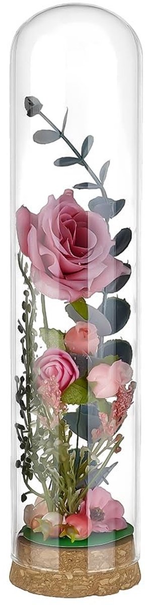 Dailygoods- Glazen Stolp - Decoratieve Stolpen - Kurken Voet - Voor Bloemen/Planten - Hoogte 260 mm - Duurzaam Glas - Glazen Koepel