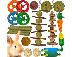 Dailygoods- Konijn Speelgoed Set - Natuurlijke Kauwspeelgoed - Appelhout/Timothy Hooi - Knaagdieren - Tandpijn Verlichting - 21 Stuks - Knaagdier Speelgoed