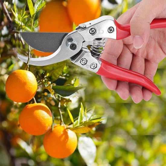 Dailygoods- Snoeischaar Professioneel - Hoogwaardige SK5-staal - Ergonomisch Antislip Handvat - Duurzaam - Betrouwbare Prestaties - Comfortabel Gebruik - Tuinschaar van Dailygoods — afbeelding 3