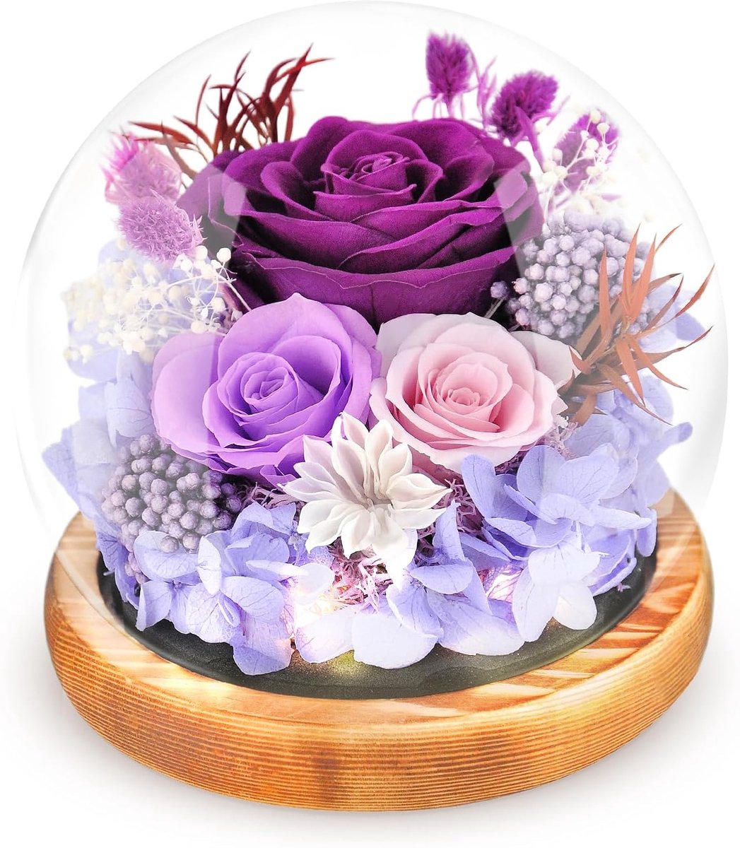 Eeuwige Roos - Gecentreerde bloemen - Cadeau geven - Handgemaakt echt - 3 stuks - Paars