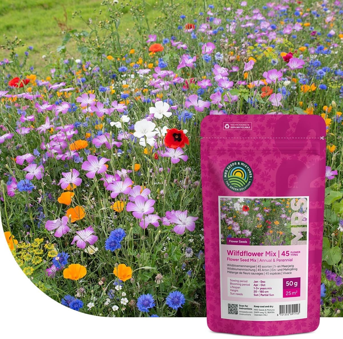 Dailygoods- Wildbloemenmengsel 1- en meerjarig - 250 gram voor 125 m² - 62 bloemsoorten - Kleurrijke bloemenweide - Lokt nuttige insecten - Groeihoogte: 10-180 cm - Bloemenzaad