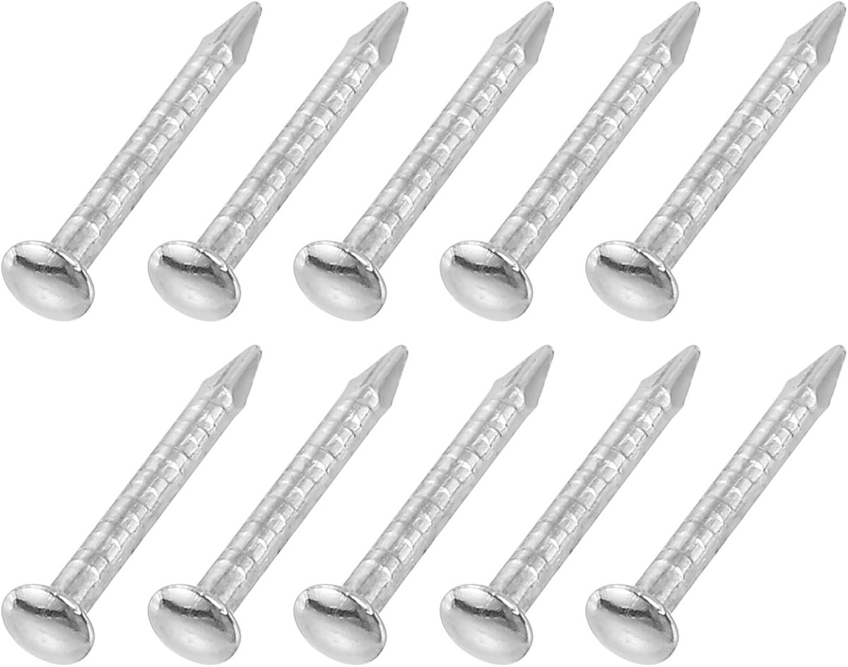 500 stuks kleine spijkers voor ijzerwaren, 1 x 10 mm, ronde kop van koolstofstaal, gezamenlijke afwerkingspijkers voor huishoudelijke werkzaamheden, zilverkleurig
