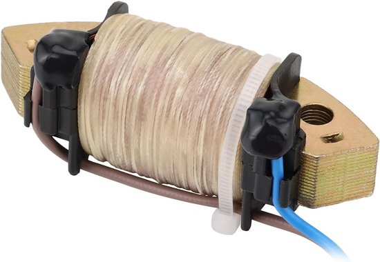 2-draads oplaadspoel compatibel met 4-takt 6HP 8HP 9.9HP buitenboordmotor, 68T-85520-00 — afbeelding 2
