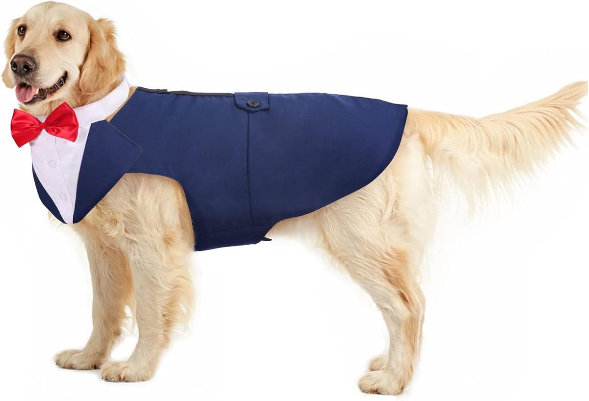 set van pak en befje met vlinderdas, puppy-kostuum, jasje voor formele aangelegenheden, bruiloft, feest, verstelbaar (blauw, XXL)