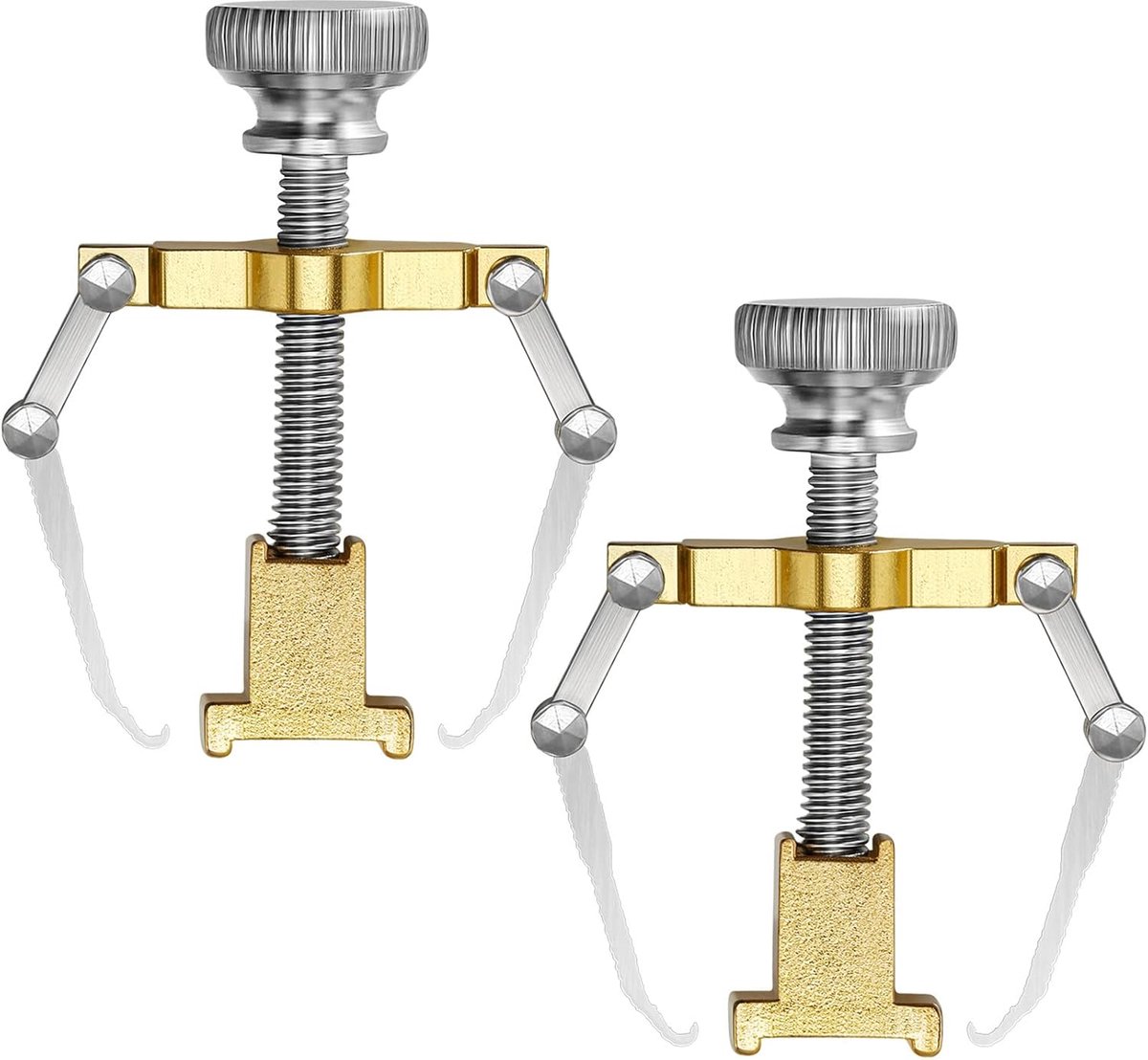 2 stuks ingegroeide teennagel lifter ingegroeide teennagel gereedschap teen klem roestvrij staal voetverzorging tool voor paronychia (goud)
