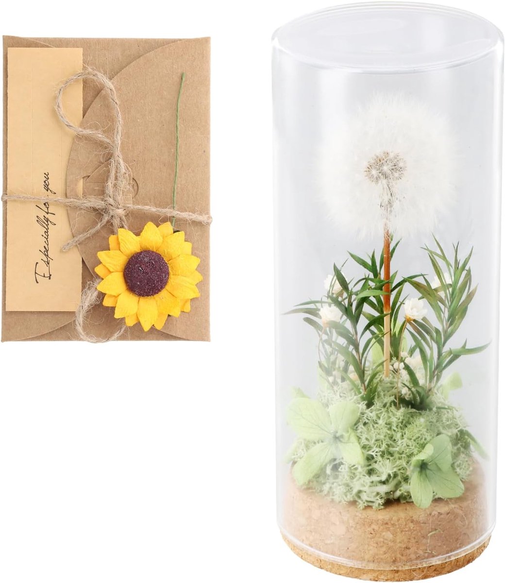 Paardenbloem in glas - Wensbloem decoratie - Cadeau geven - Echte gedroogde bloemen - 16 cm hoog - Transparant