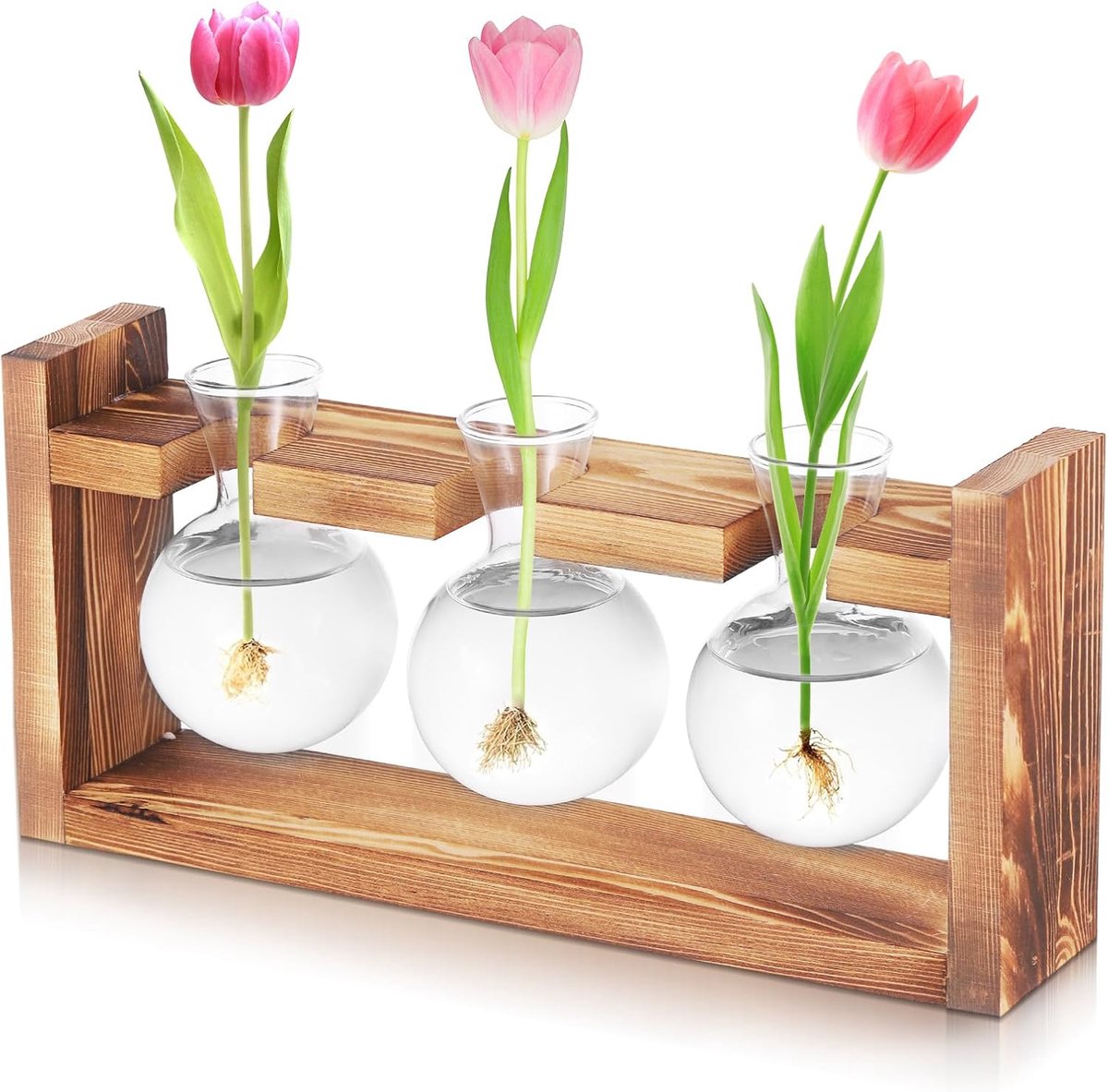 SnelShoppen - Fentar Glazen Plank voor Planten, Vintage Houten Basis, 3 Stuks Kleine Vazen voor Tafeldecoratie, Hydroponische Vazen, Perfecte Groei St