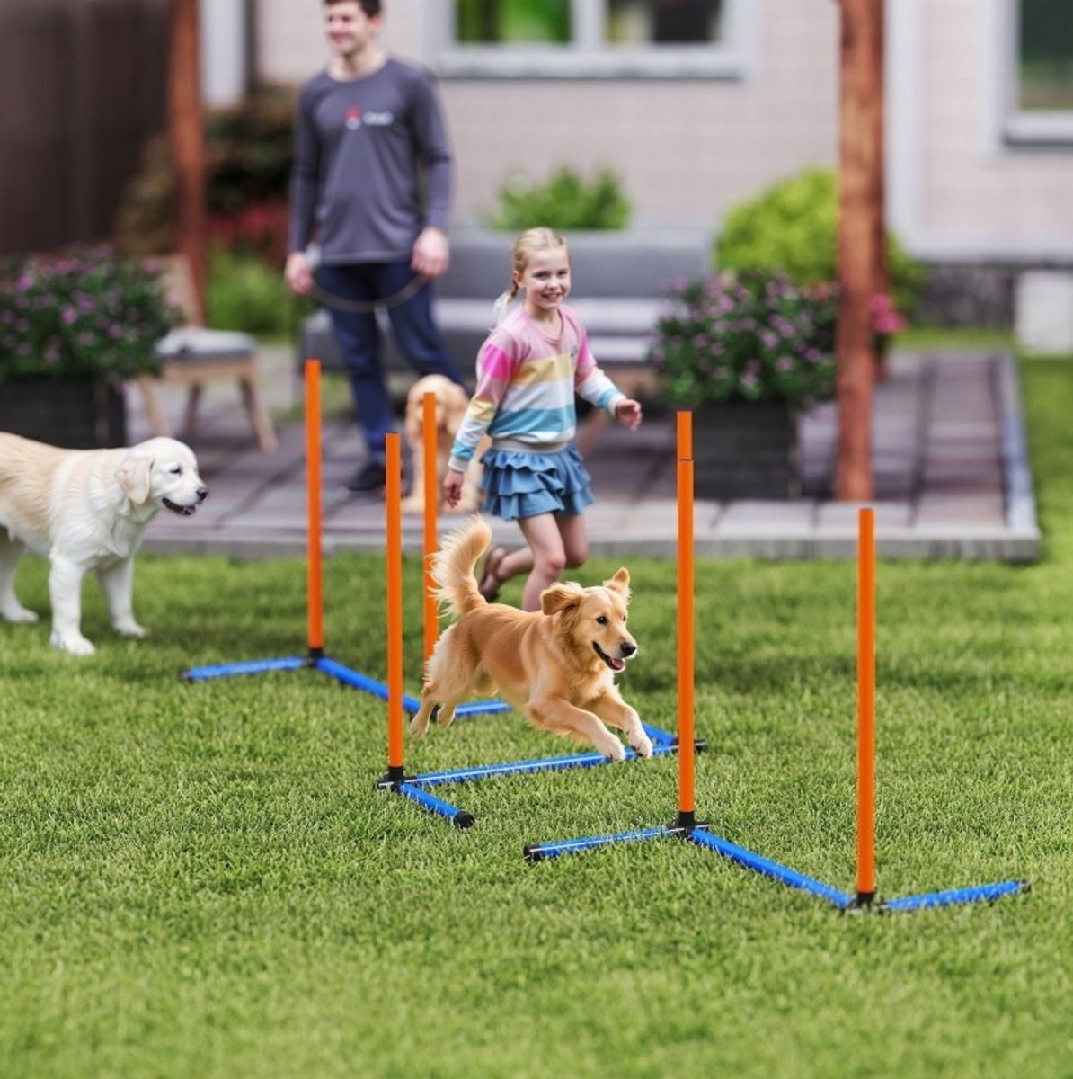 Honden agility set slalom 65 x 64 x 69 cm, 3-delig, oranje, met draagtas voor binnen en buiten