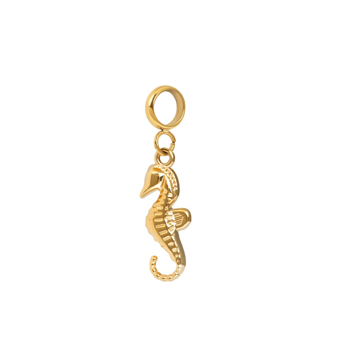 iXXXi Connect Bedel Marelet | Goud