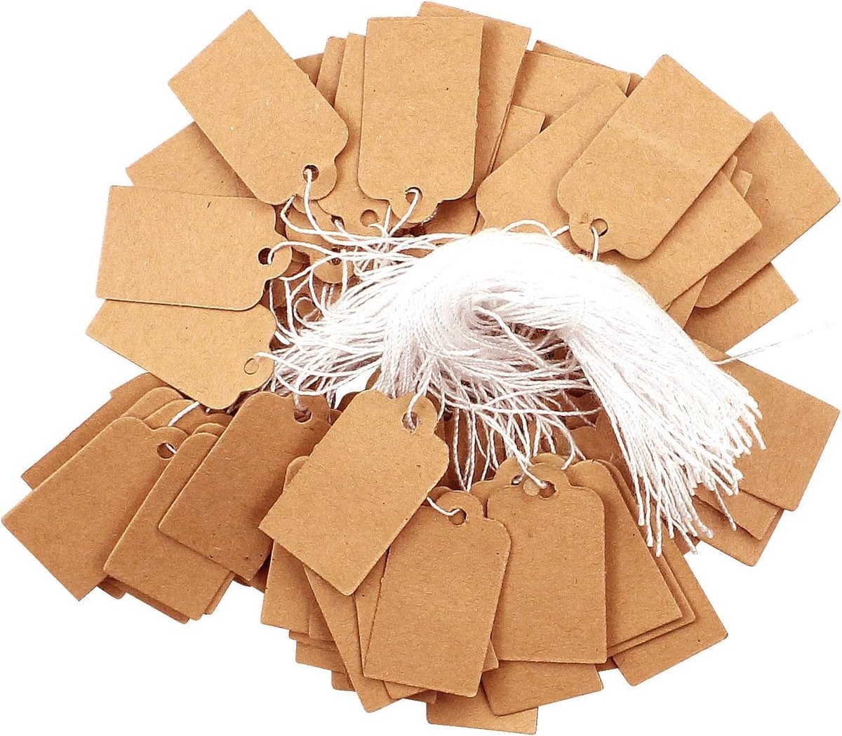 SnelShoppen - 500 Stuks Kraft Papier Prijsetiketten met Touw, Gift Tags voor Verpakking, Prijslabels, Handgemaakte Cadeaus, Bruiloft, Verjaardag, Vint