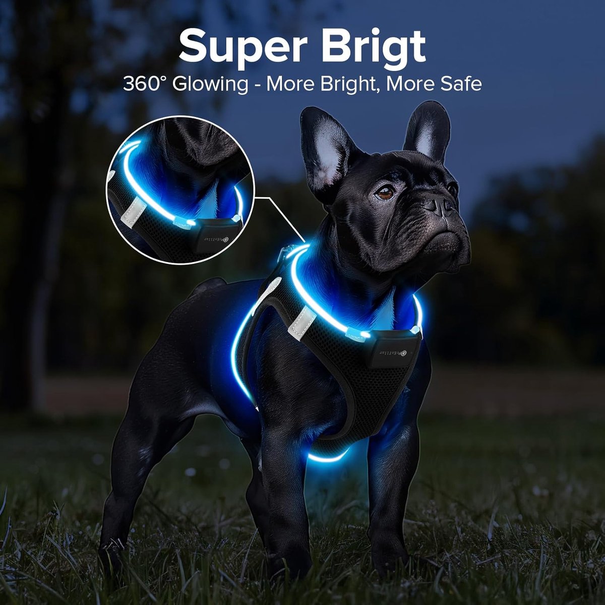 SnelShoppen - LED Harnas voor Honden - Oplaadbaar, 7 Kleuren, 9 Modus, Reflecterend, Comfortabel, Zwart, Maat S - Veiligheid voor Kleine en Middelgrot