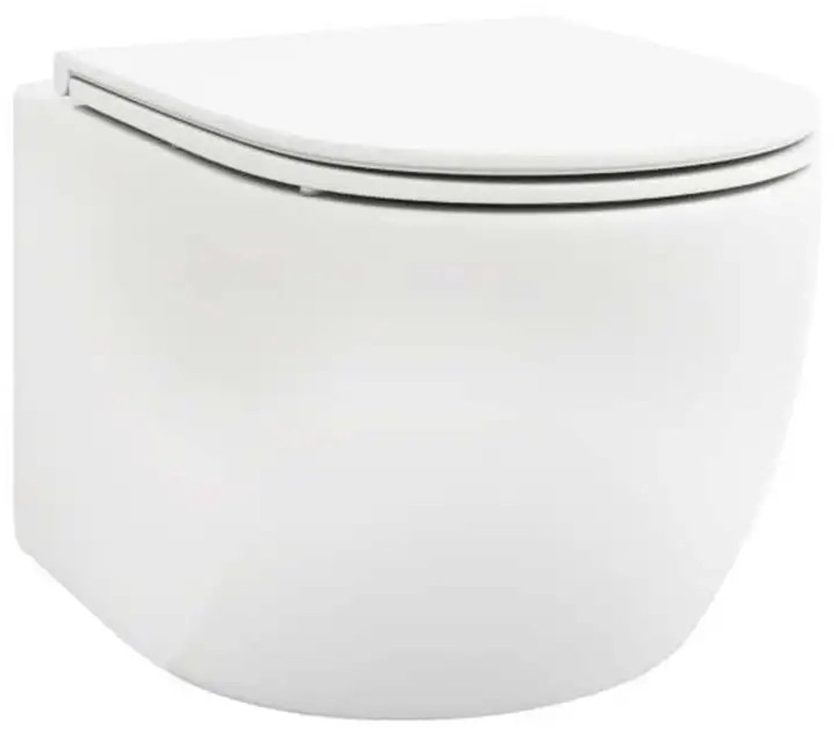 Dailygoods Wandcloset, wandmodel, keramische pot & toiletbril met dual flush systeem, soft close mechanisme, wit - AliEx