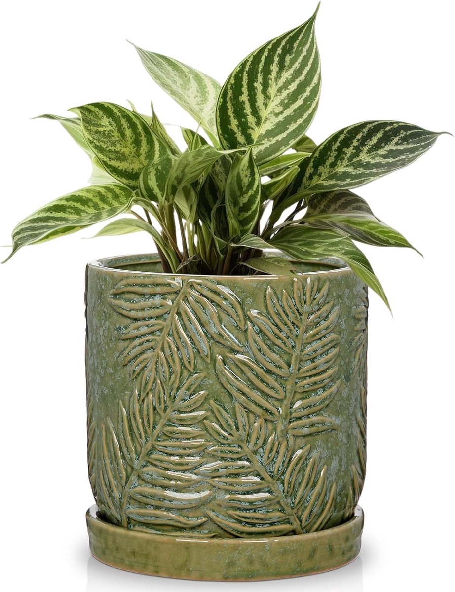 Plant Pot With Saucer Green Ceramic Pot Flower Pot Garden Fern Plant Pots With Drainage Hole - ShopVlot