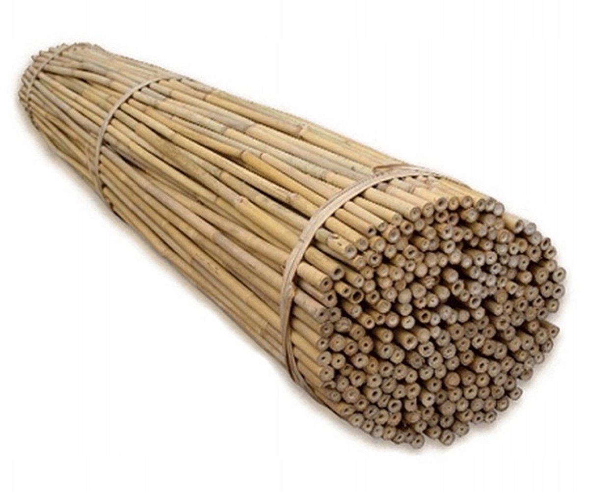 Bamboe Stokken 10-12mm 120cm - Set van 20 stuks