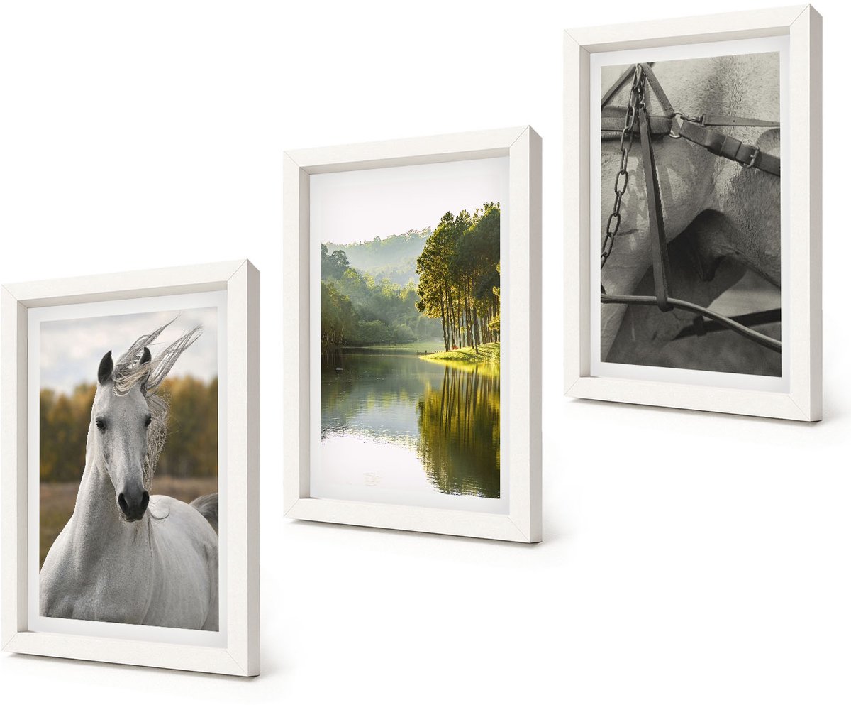 Coloray 3-Delige Schilderij Set - Witte paarden aan de rivier - Natuurlandschap - 20x30 - Wanddecoratie - Schilderijen Set - Kantoor - Moderne Wanddecoratie