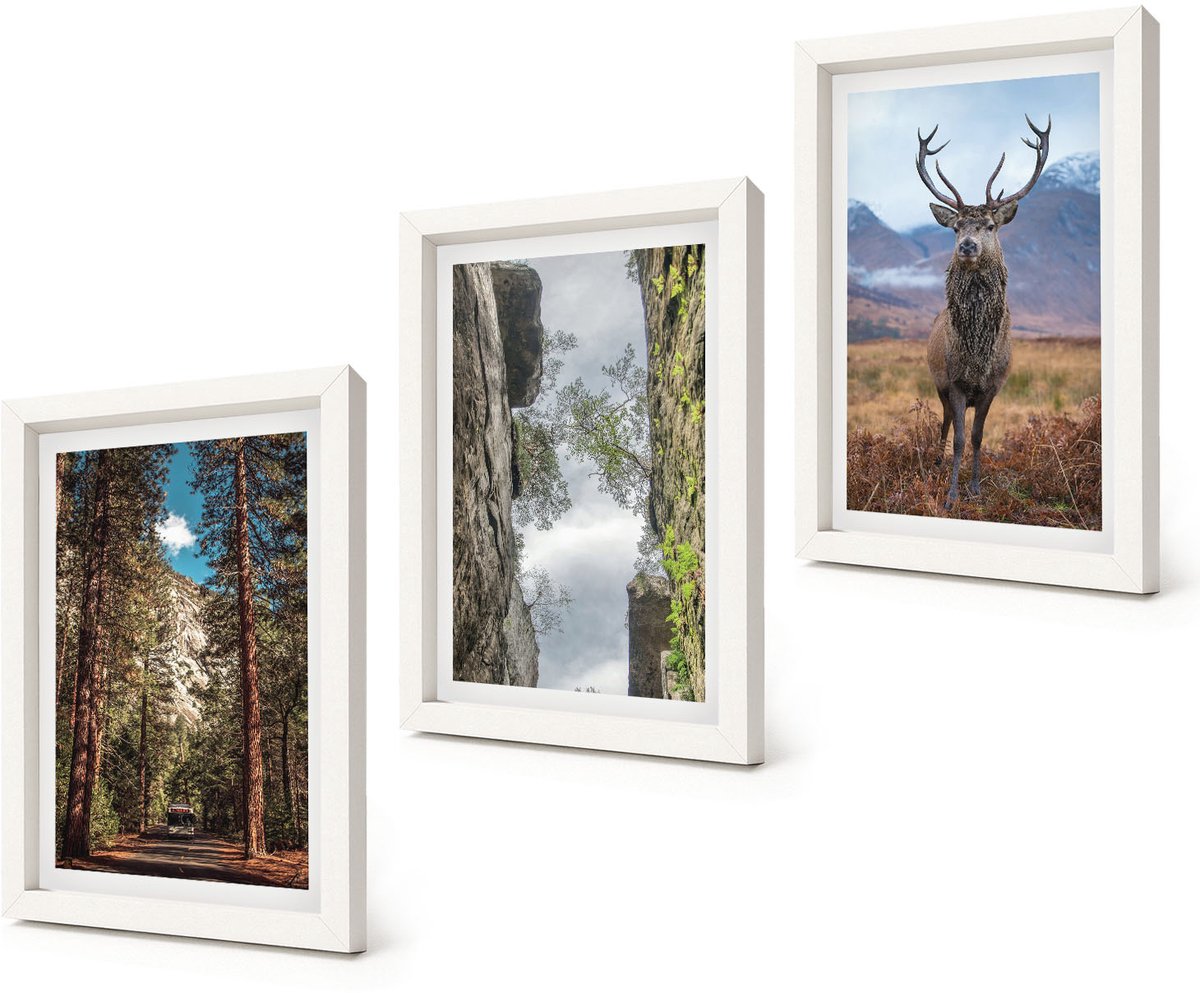 Coloray 3-Delige Schilderij Set - Weg door het bos, bergen en herten in de natuur. - 20x30 - Muurdecoratie - Wanddecoratie - Slaapkamer - Woonkamer Decoratie