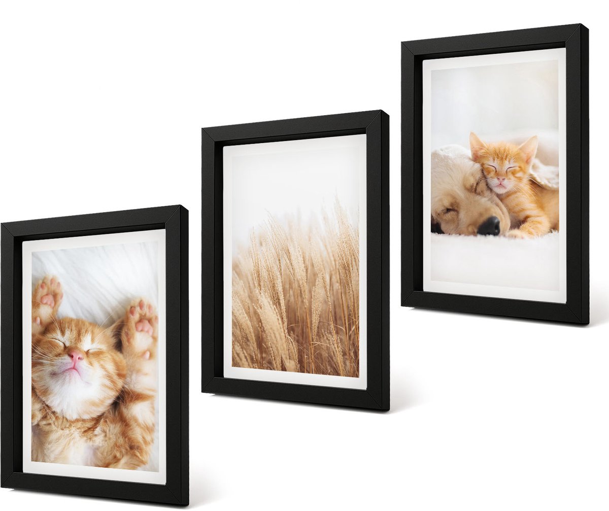Coloray 4-Delige Schilderij Set - Schattige dieren: katten, honden, zacht gras, boho-stijl. - 20 x 30 cm - Muurdecoratie - Wanddecoratie - Slaapkamer - Interieur Decoratie