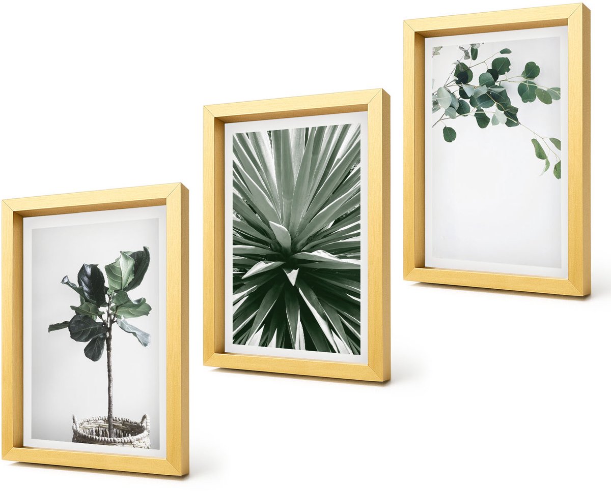Coloray 4-Delige Schilderij Set - Groene planten in een minimalistische stijl - 20 x 30 cm - Decoratieve Schilderijen - Woonkamer - Interieur - Stijlvolle Muurdecoratie