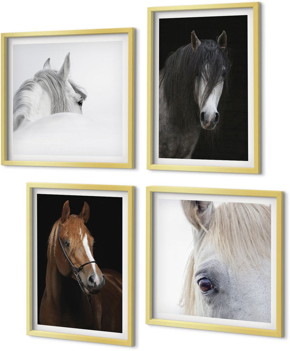 Coloray 4-Delige Schilderij Set - Portretten van paarden in verschillende vachtkleuren - 40 x 40 cm en 40 x 60 cm - Decoratieve Schilderijen - Wanddecoratie - Hal