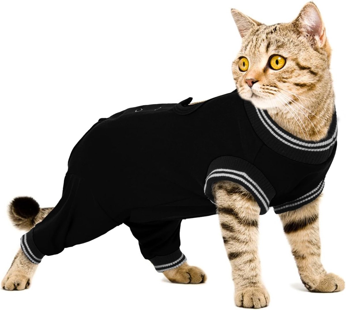 Postoperatiepak voor katten, ademend herstelpak voor chirurgie met benen, postoperatief kattenherstelpak, medisch vest, beenoperatie, herstelpak om de wond schoon te houden (zwart, L)