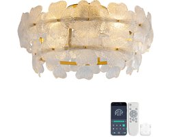Plafondventilator 19 inch met glazen kristallen kap - Energiezuinige stille gelijkstroommotor - 6 snelheidsstanden - Voor- en achteruit functie - ABS-bladen - App en afstandsbediening