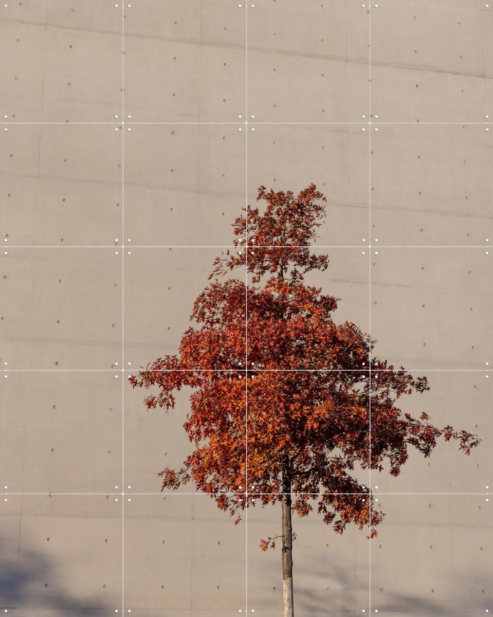 IXXI One Autumn Tree, Mareike Böhmer - 80 x 100 cm - Gratis ophangtool - Grote wanddecoratie en posters - Fotografie, Minimalisme, Slaapkamer