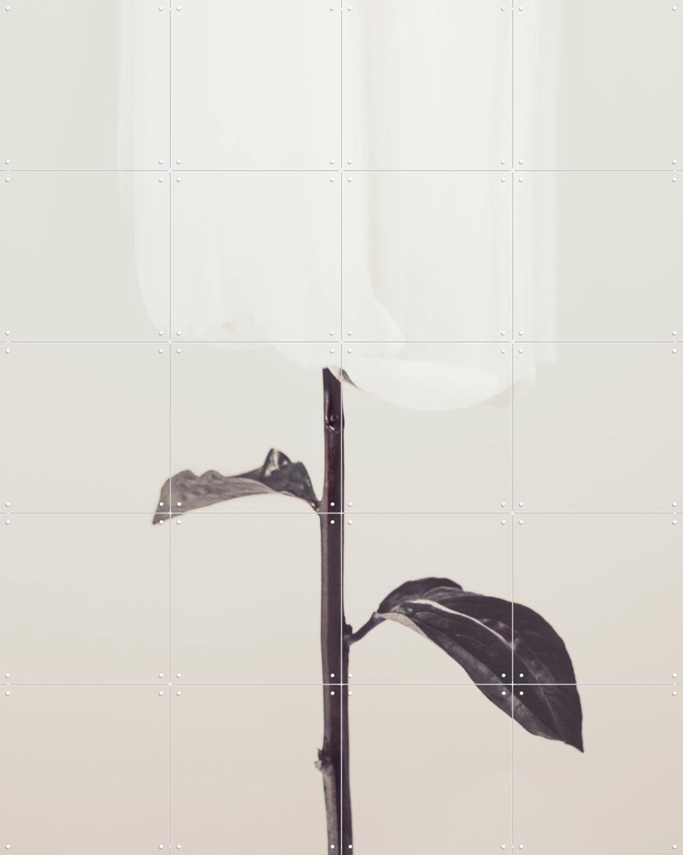 IXXI Whispered Elegance, 1x Studio II & Various - 80 x 100 cm - Gratis ophangtool - Grote wanddecoratie en posters - Fotografie, Minimalisme