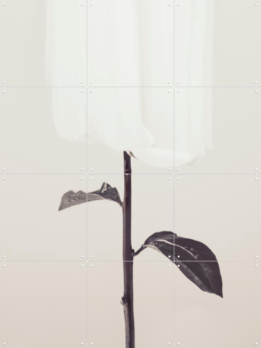 IXXI Whispered Elegance, 1x Studio II & Various - 60 x 80 cm - Gratis ophangtool - Grote wanddecoratie en posters - Fotografie, Minimalisme