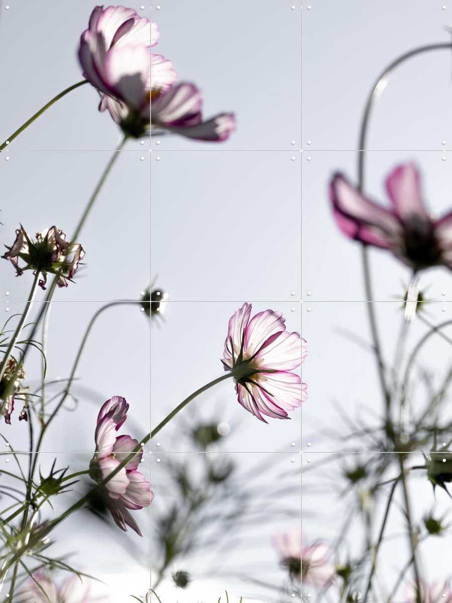 IXXI Wild Flowers, Mareike Böhmer - 60 x 80 cm - Gratis ophangtool - Grote wanddecoratie en posters - Fotografie, Slaapkamer, Woonkamer, Eetkamer