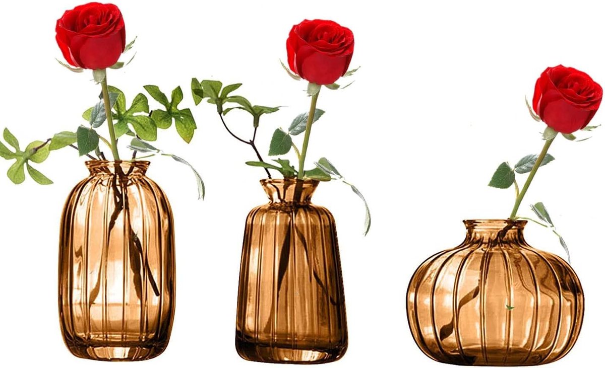 SnelShoppen - Set van 3 Mini Bloemenvazen - Bruin Glas - Decoratieve Vazen voor Tafel - Transparant - Ideaal voor Landelijke Bruiloften, Bohemian Styl
