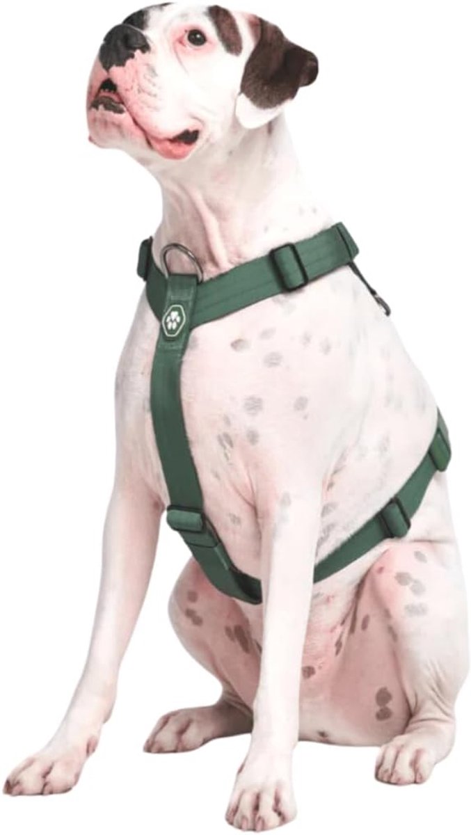 SnelShoppen - No Pull Hondenharnas voor Grote Honden, Verstelbaar Y Harnas met Voorclip, Robuuste en Duurzame Hondenaccessoire in Groen, Maat S voor S