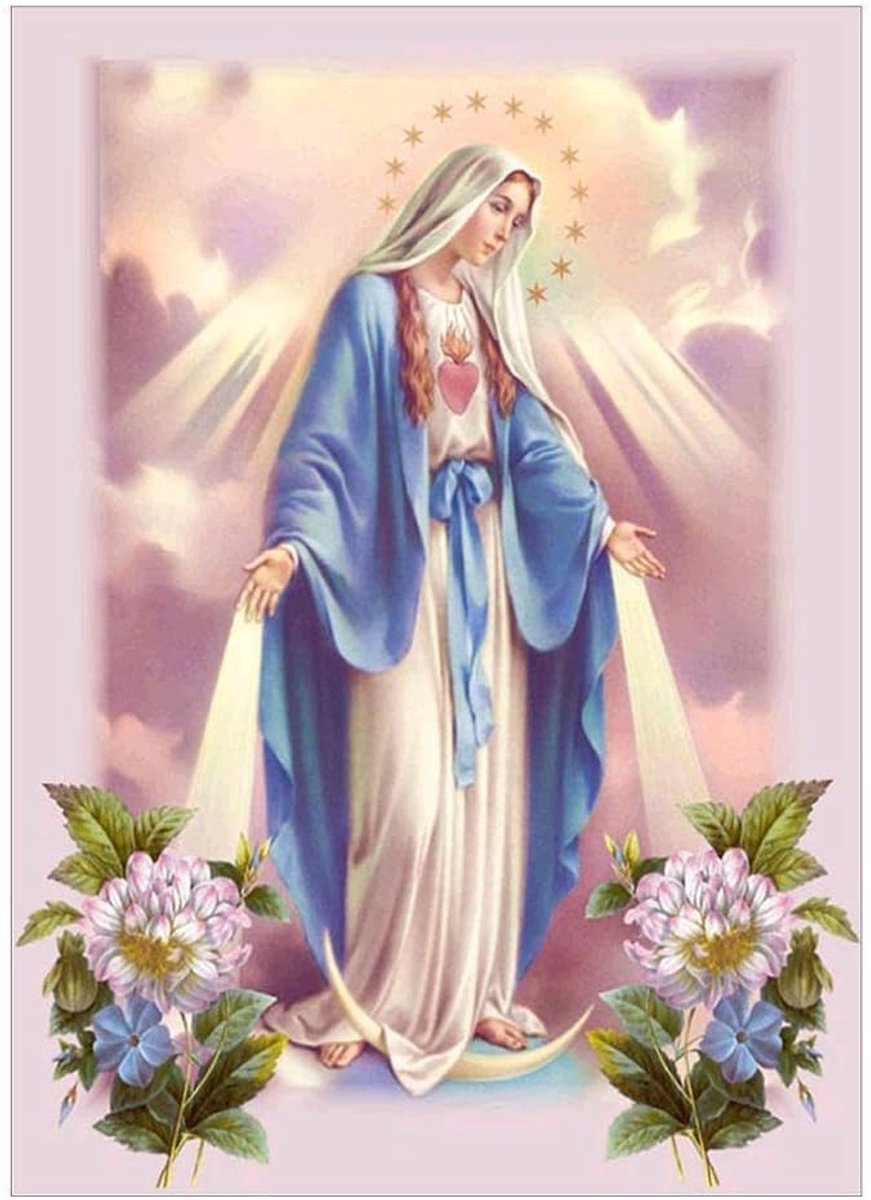 zalati 5D Diamond Painting DIY voor Home Decor Craft - Virgin Mary