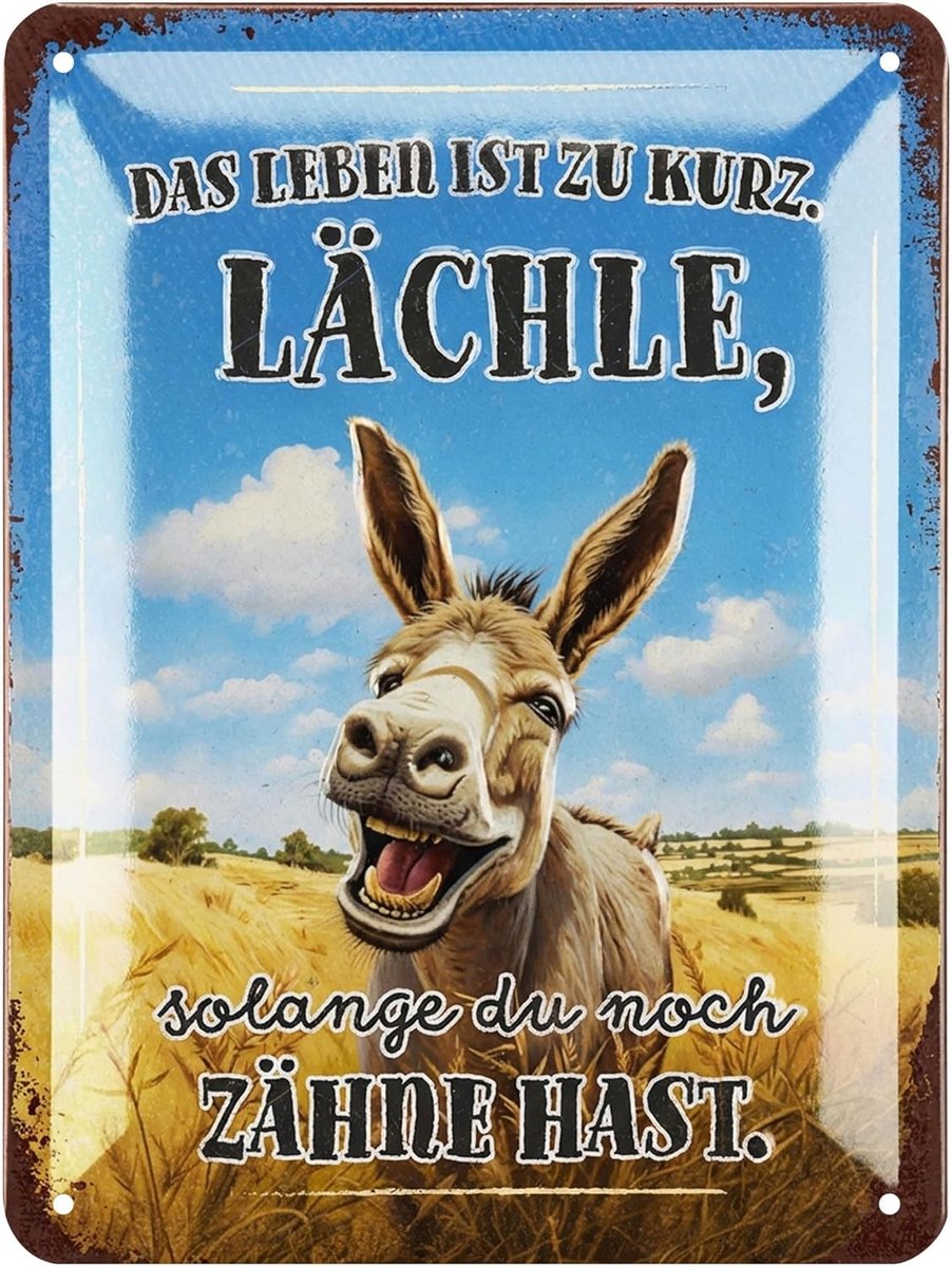 Retro metalen bord met spreuken, shabby chic, decoratieve keuken en tuin, grappige borden van metaal, 15 x 20 cm