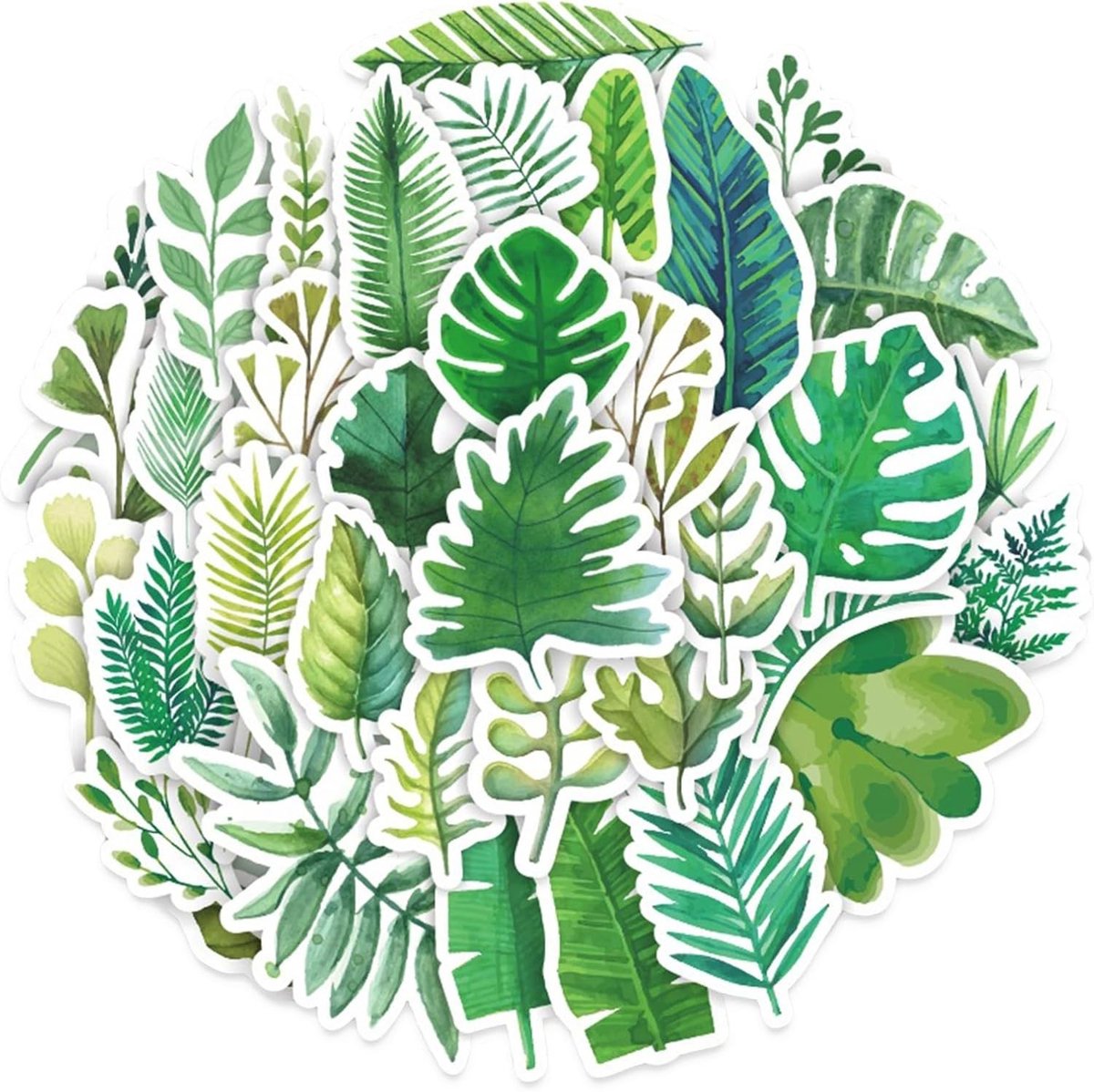 Natuurlijke Plant Stickers Set van 46 Stuks, Decoratieve Bladeren en Jungle Stickers voor Scrapbook, Reisaccessoires en DIY Decoratie