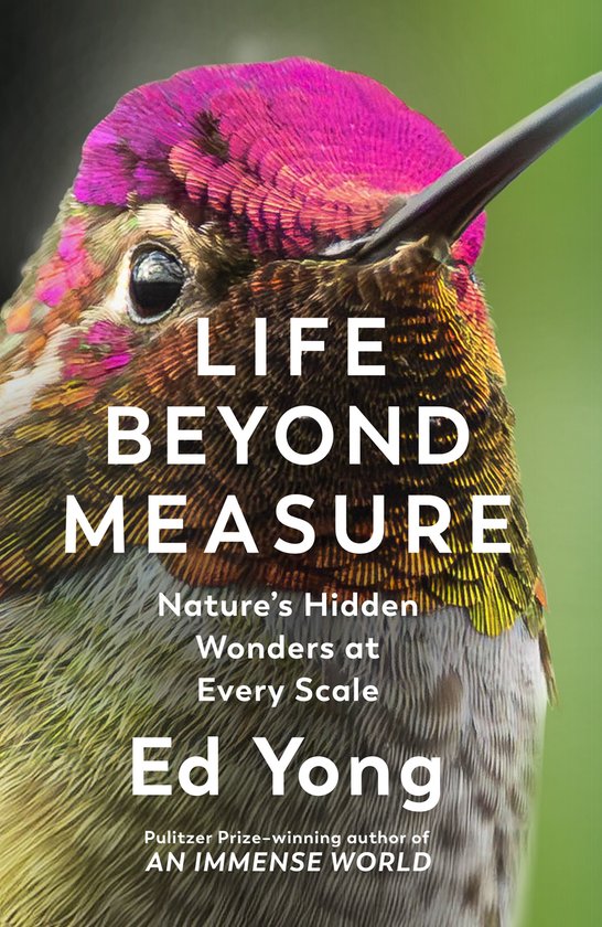 Life Beyond Measure - cover